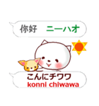 日本語のダジャレと中国語（繁体字）白猫（個別スタンプ：3）