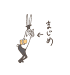 うさぎタイツと説明中（個別スタンプ：19）