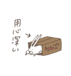 うさぎタイツと説明中（個別スタンプ：24）