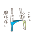 うさぎタイツと説明中（個別スタンプ：40）