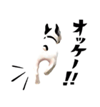 フレンチブルドッグトーク（個別スタンプ：9）
