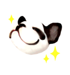フレンチブルドッグトーク（個別スタンプ：13）