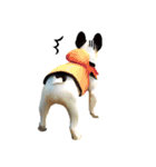 フレンチブルドッグトーク（個別スタンプ：21）