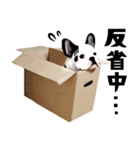 フレンチブルドッグトーク（個別スタンプ：29）