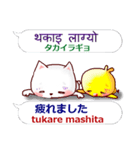 ネパール語と日本語 ネコとひよこ（個別スタンプ：19）