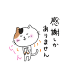 めちゃ丁寧なねこ。（個別スタンプ：2）