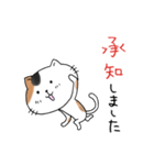 めちゃ丁寧なねこ。（個別スタンプ：7）