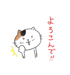 めちゃ丁寧なねこ。（個別スタンプ：8）