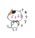 めちゃ丁寧なねこ。（個別スタンプ：9）