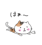 めちゃ丁寧なねこ。（個別スタンプ：12）