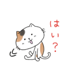 めちゃ丁寧なねこ。（個別スタンプ：13）