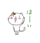 めちゃ丁寧なねこ。（個別スタンプ：15）