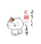 めちゃ丁寧なねこ。（個別スタンプ：17）