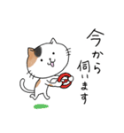 めちゃ丁寧なねこ。（個別スタンプ：20）