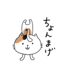めちゃ丁寧なねこ。（個別スタンプ：29）
