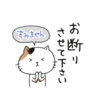 めちゃ丁寧なねこ。（個別スタンプ：33）