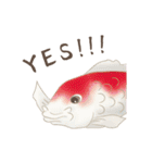 鯉々ライフ（個別スタンプ：11）