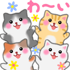 動く 4匹のぽちゃりねこ Lineスタンプ めぐみん