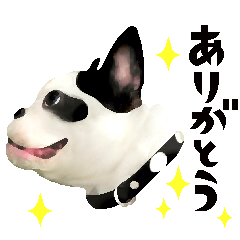 [LINEスタンプ] フレブルトークスタンプ