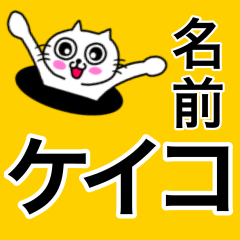 [LINEスタンプ] けいこ専用ケイコが送る用の名前スタンプ